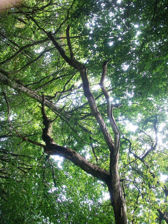 photographer Dave Wells uncategorized  photo