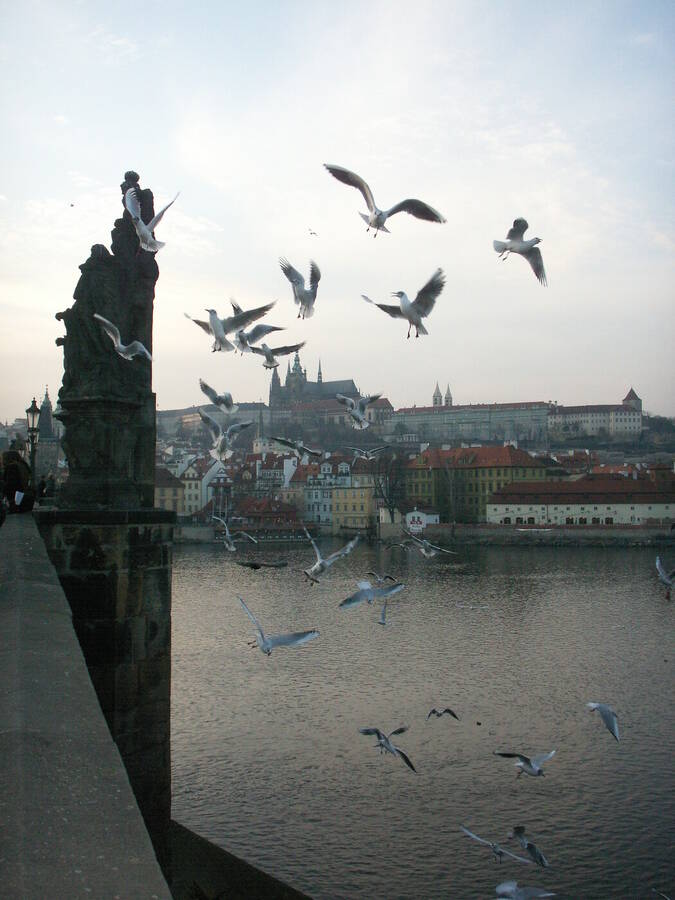 photographer Dave Wells uncategorized  photo