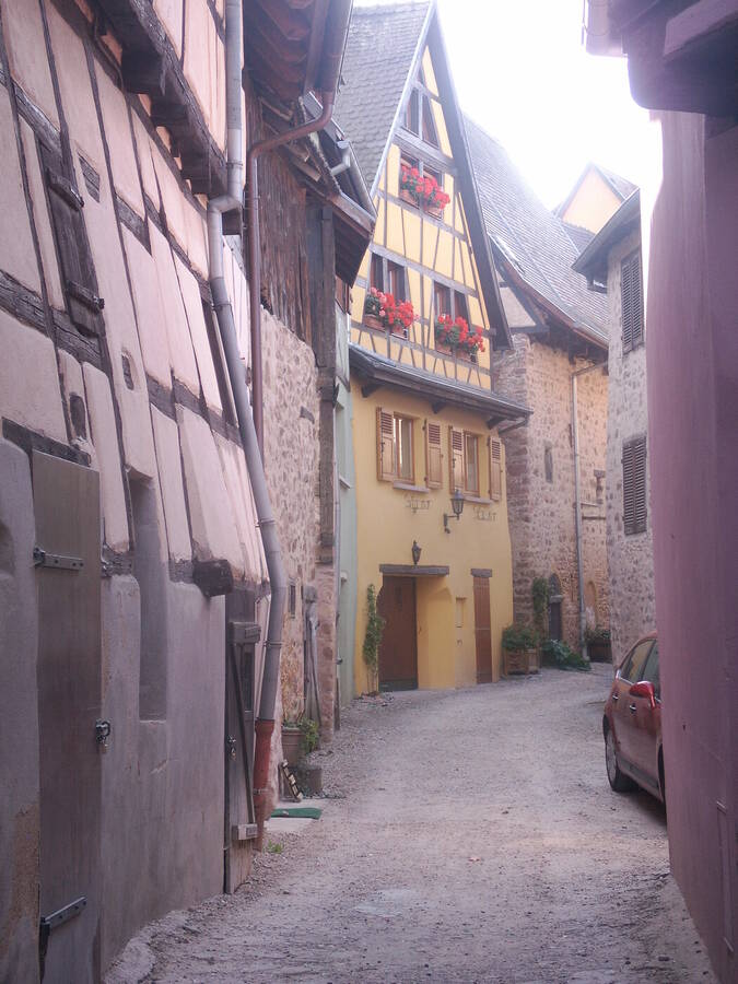 photographer Dave Wells uncategorized  photo