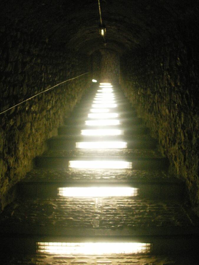 photographer Dave Wells uncategorized  photo