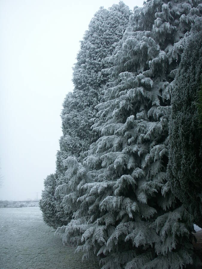 photographer Dave Wells uncategorized  photo