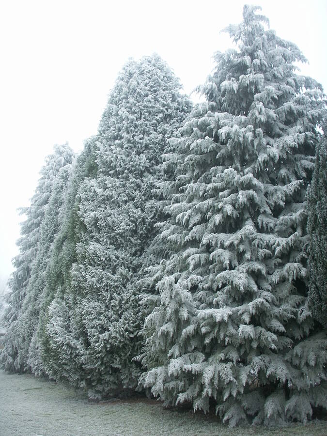 photographer Dave Wells uncategorized  photo