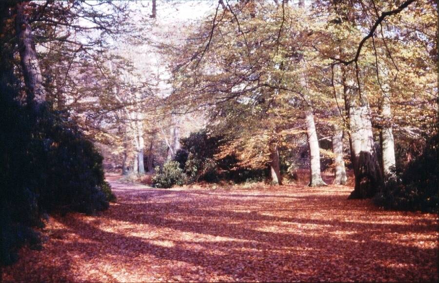 photographer Dave Wells uncategorized  photo