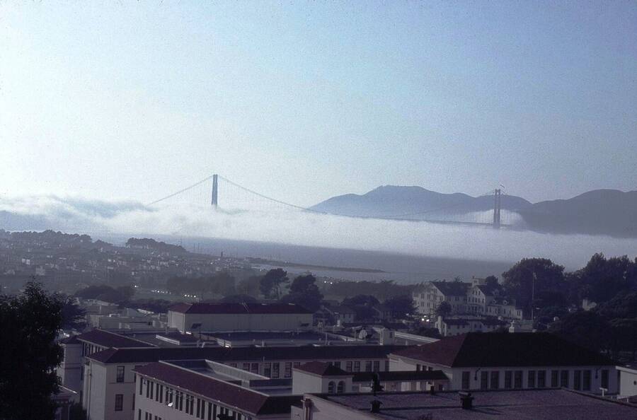 photographer Dave Wells uncategorized  photo