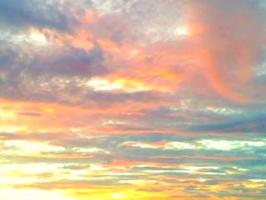 photographer Dave Wells uncategorized  photo