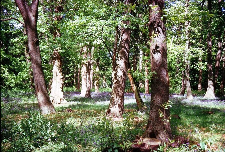 photographer Dave Wells uncategorized  photo