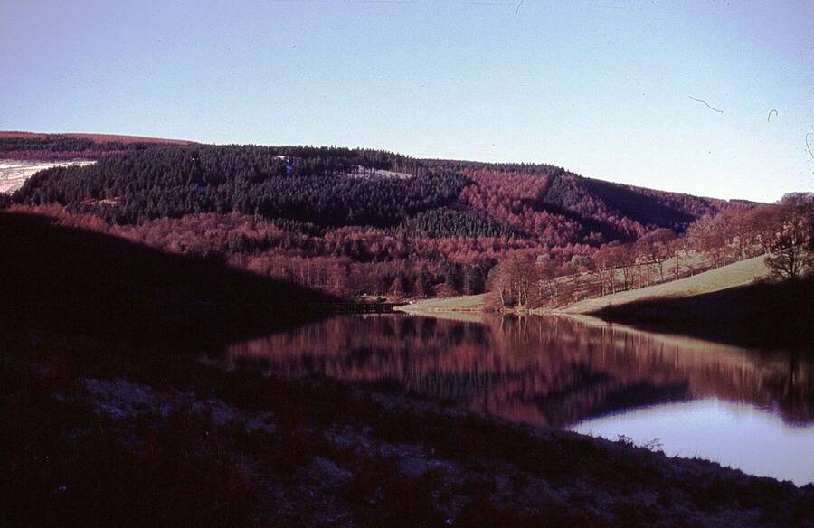 photographer Dave Wells uncategorized  photo