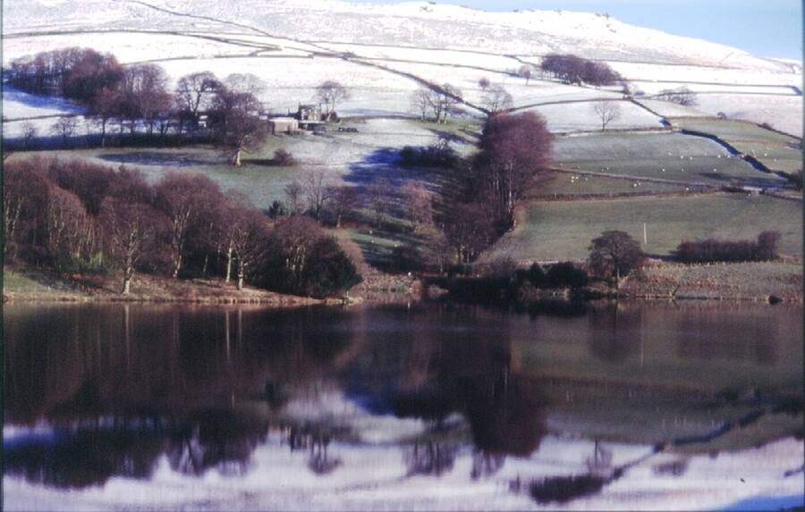 photographer Dave Wells uncategorized  photo