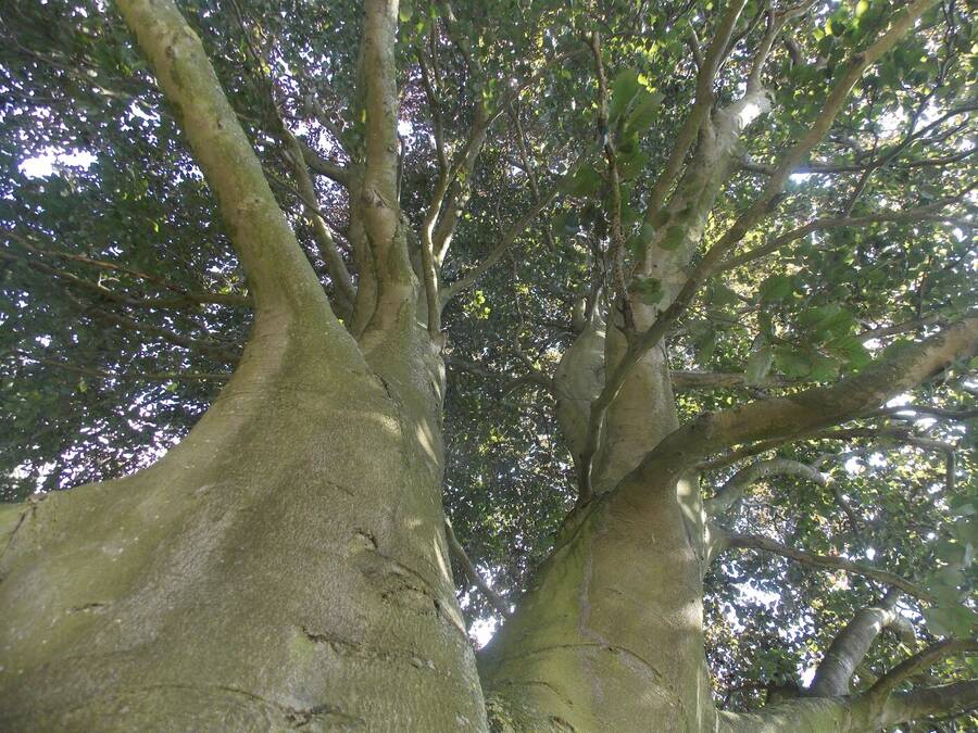 photographer Dave Wells uncategorized  photo