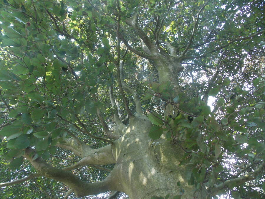 photographer Dave Wells uncategorized  photo