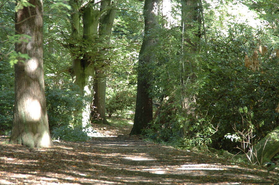 photographer Dave Wells uncategorized  photo