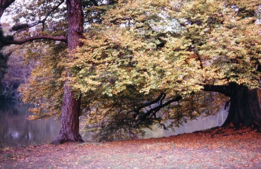 photographer Dave Wells uncategorized  photo