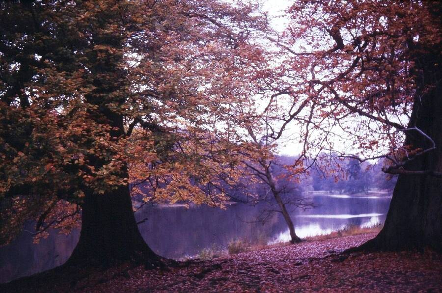 photographer Dave Wells uncategorized  photo