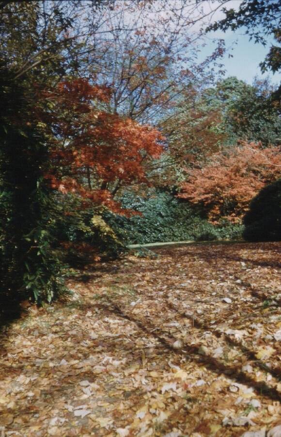 photographer Dave Wells uncategorized  photo