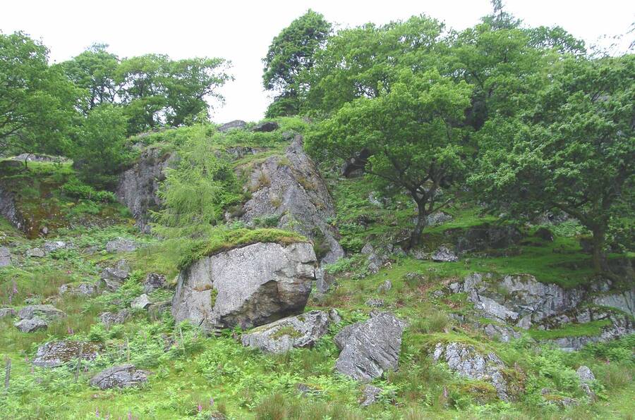 photographer Dave Wells uncategorized  photo