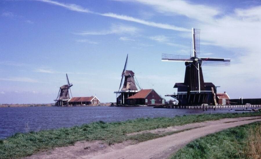 photographer Dave Wells uncategorized  photo