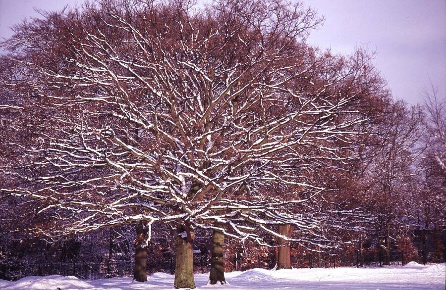 photographer Dave Wells uncategorized  photo