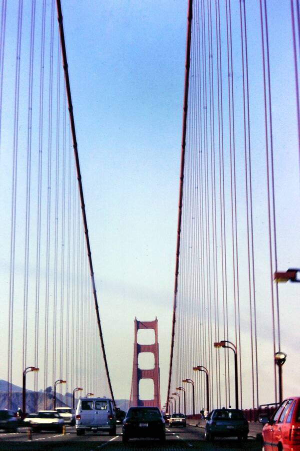 photographer Dave Wells uncategorized  photo