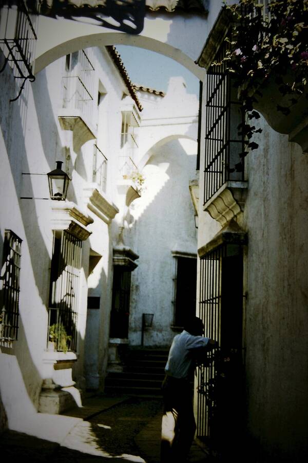 photographer Dave Wells uncategorized  photo