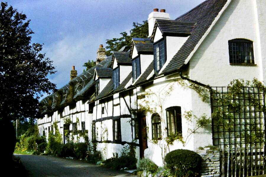 photographer Dave Wells uncategorized  photo