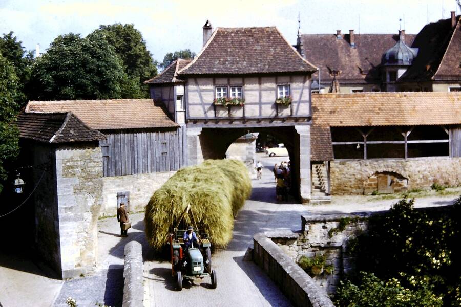 photographer Dave Wells uncategorized  photo