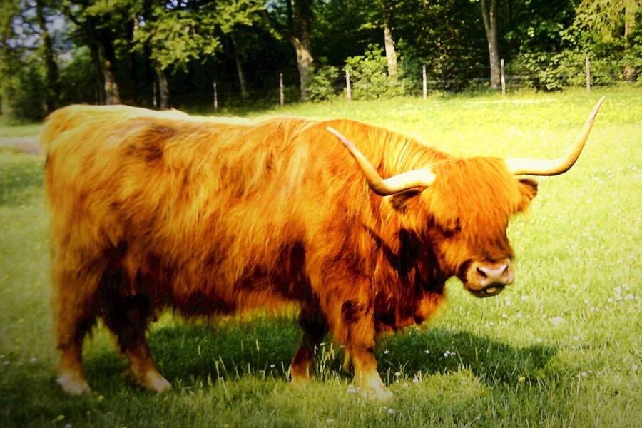 photographer Dave Wells uncategorized  photo