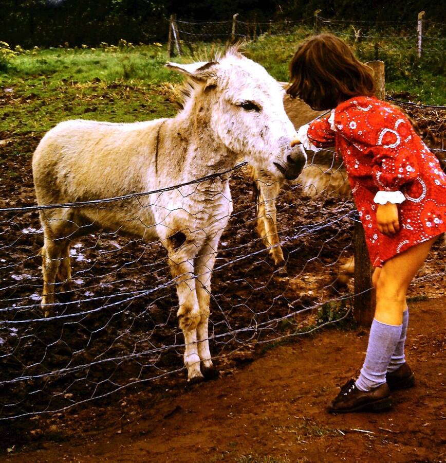 photographer Dave Wells uncategorized  photo