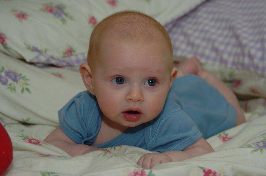 photographer Dave Wells uncategorized  photo