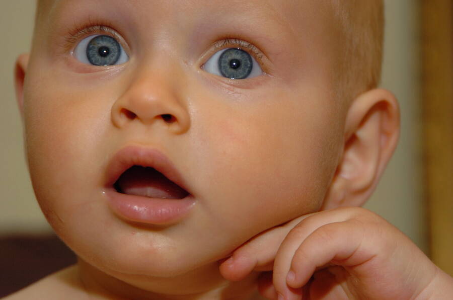 photographer Dave Wells uncategorized  photo