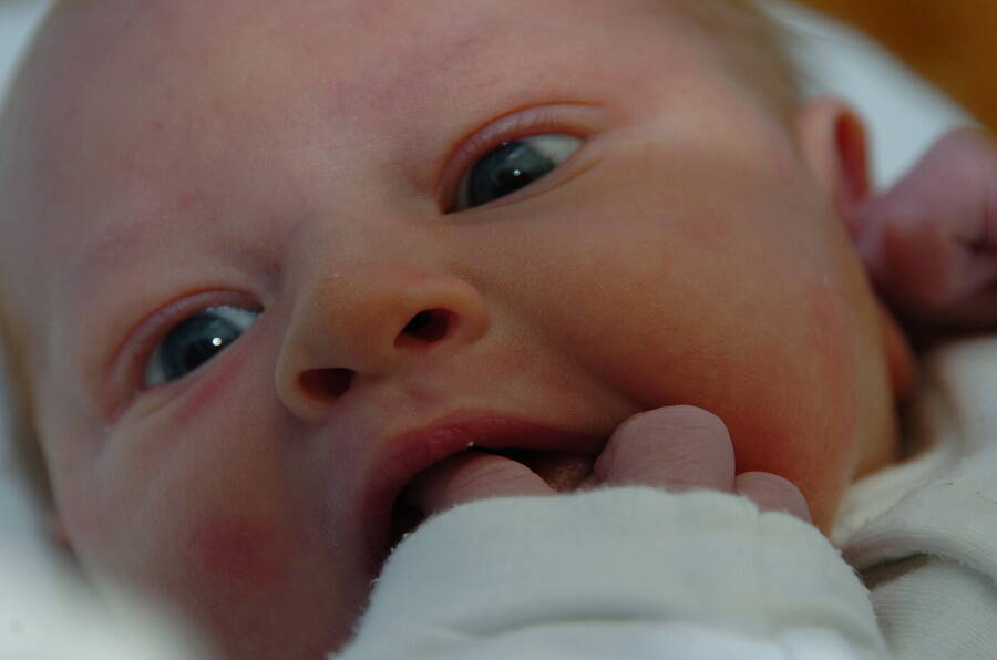 photographer Dave Wells uncategorized  photo