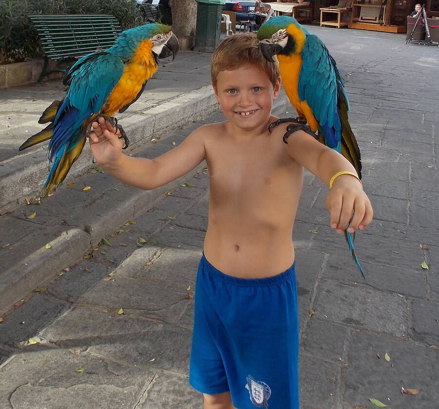 photographer Dave Wells uncategorized  photo