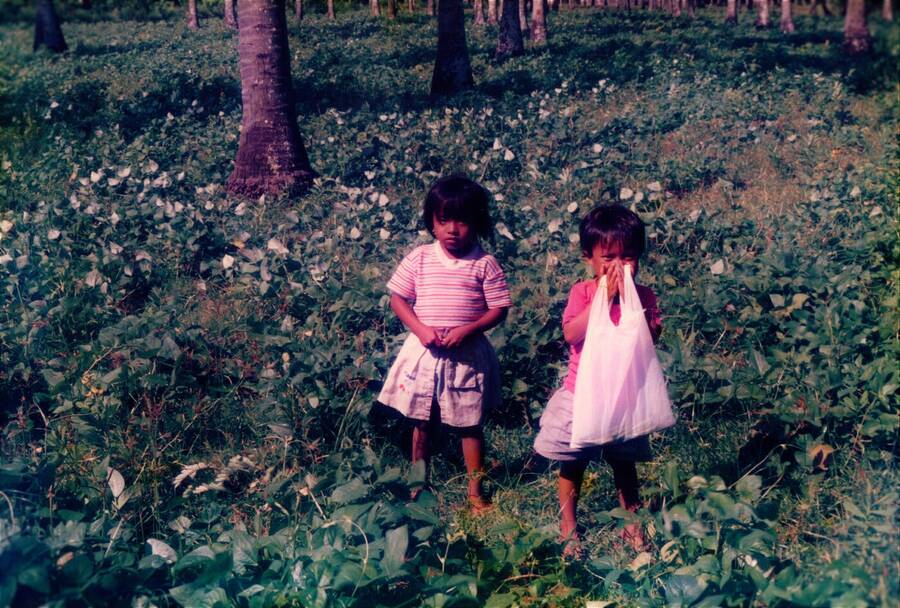 photographer Dave Wells uncategorized  photo