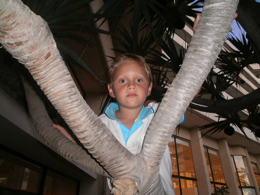 photographer Dave Wells uncategorized  photo