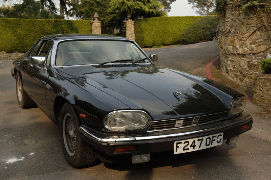 photographer Dave Wells uncategorized  photo