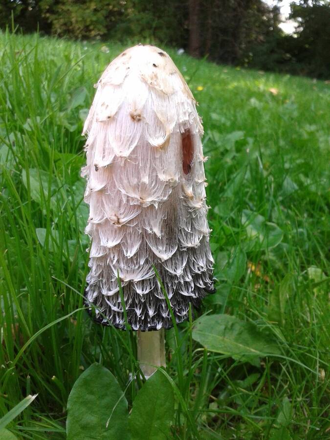 photographer Dave Wells uncategorized  photo