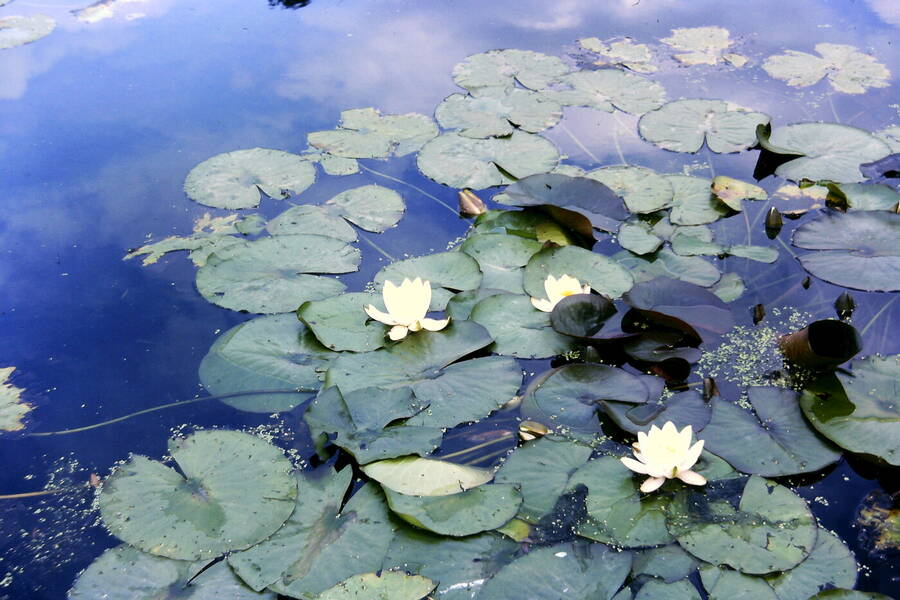 photographer Dave Wells uncategorized  photo