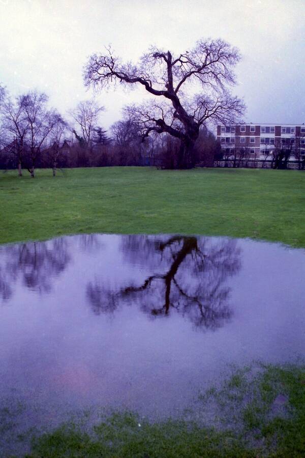 photographer Dave Wells uncategorized  photo