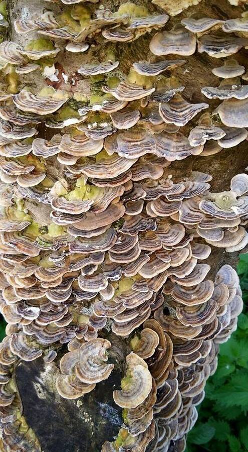 photographer Dave Wells uncategorized  photo