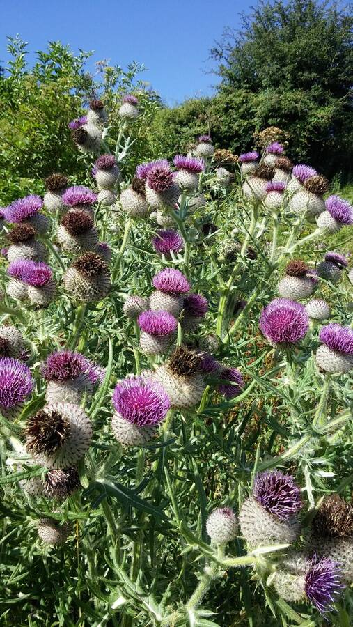 photographer Dave Wells uncategorized  photo