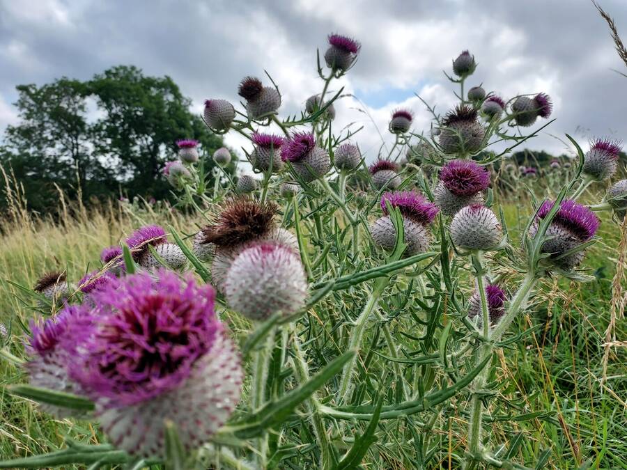 photographer Dave Wells uncategorized  photo