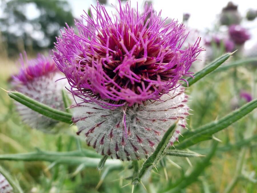 photographer Dave Wells uncategorized  photo