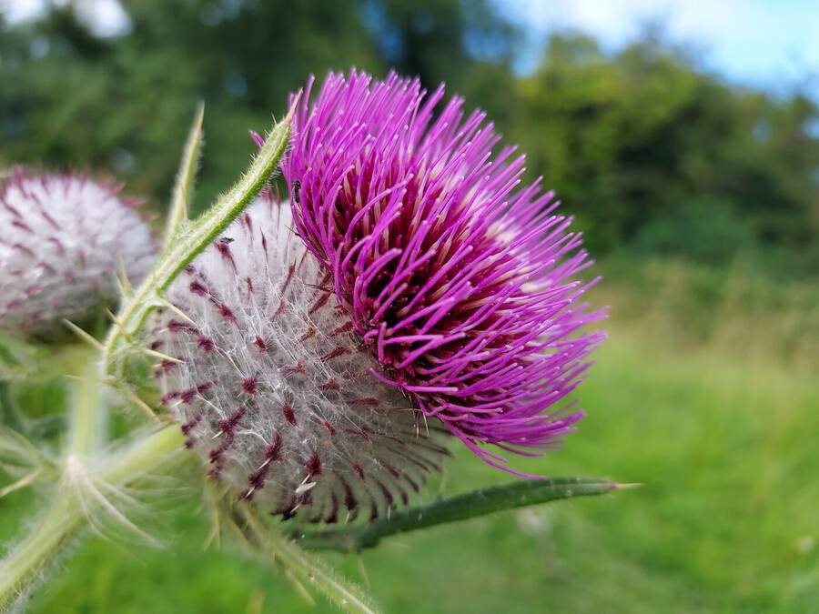 photographer Dave Wells uncategorized  photo