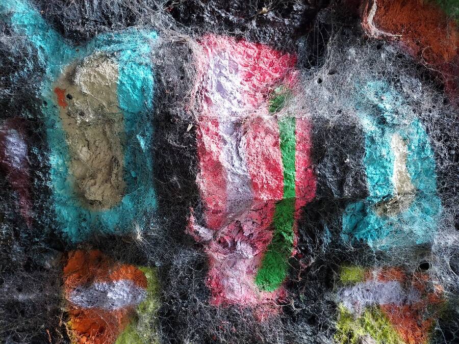 photographer Dave Wells uncategorized  photo