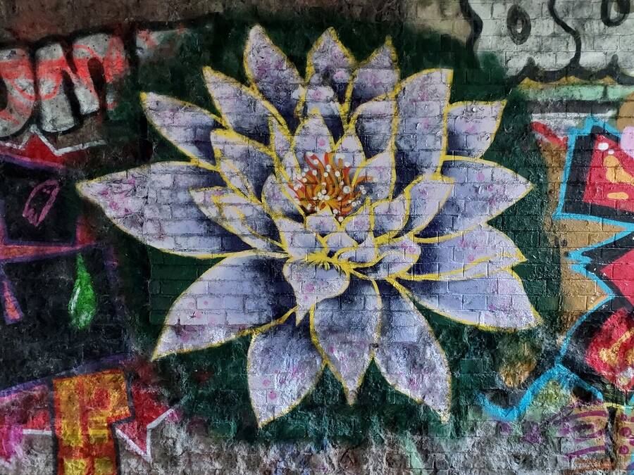 photographer Dave Wells uncategorized  photo