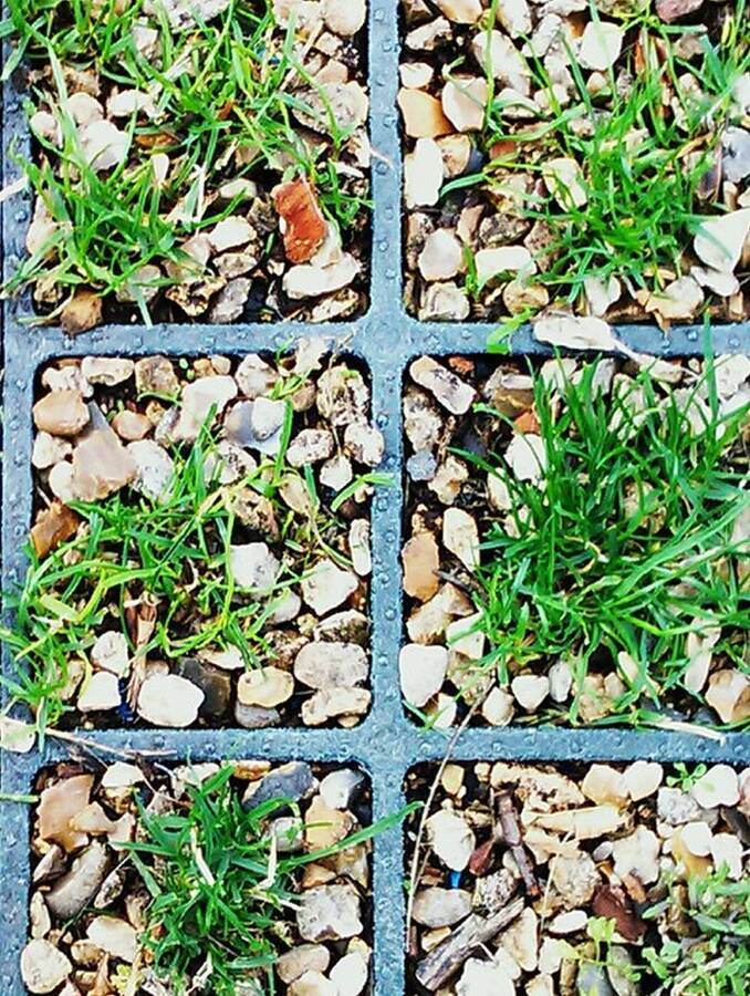 photographer Dave Wells uncategorized  photo