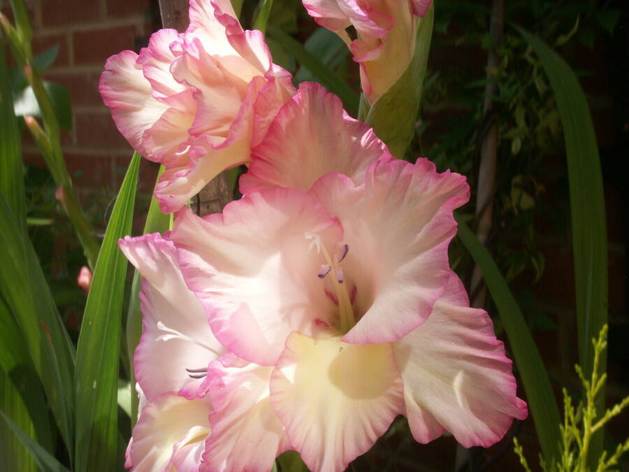 photographer Dave Wells uncategorized  photo