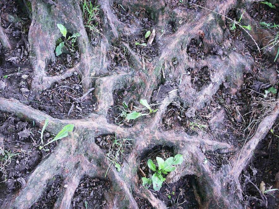 photographer Dave Wells uncategorized  photo