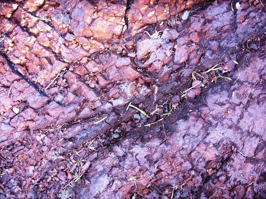 photographer Dave Wells uncategorized  photo