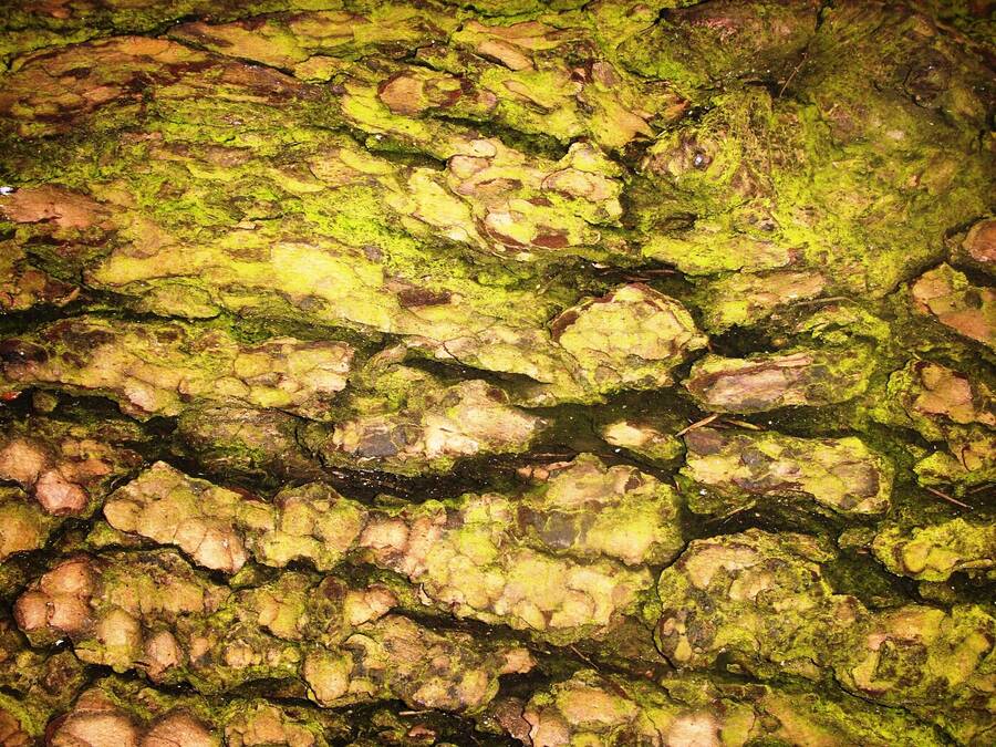 photographer Dave Wells uncategorized  photo