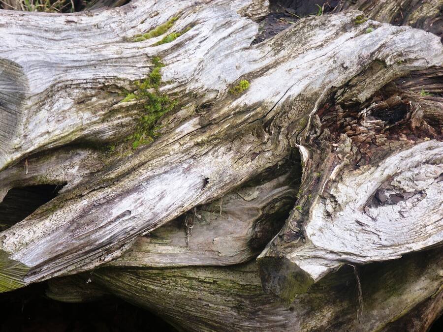 photographer Dave Wells uncategorized  photo